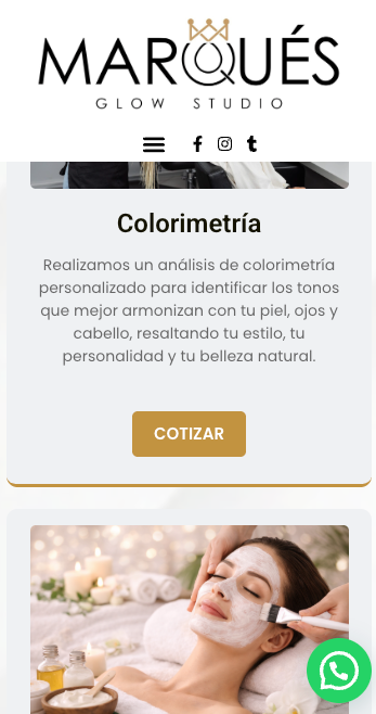 Ejemplo de página web responsive en celular